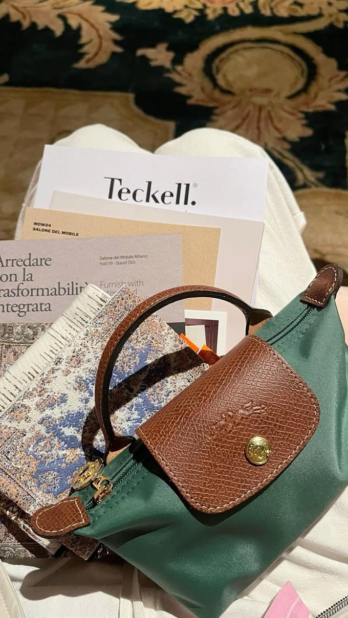 Mini longchamp bag