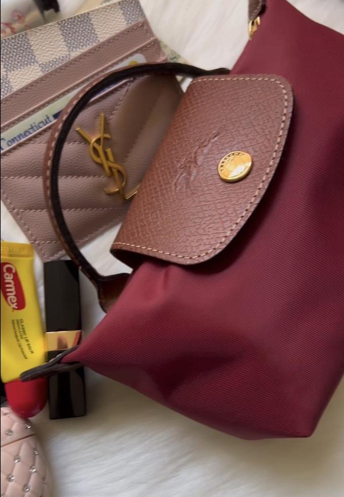 Mini longchamp bag