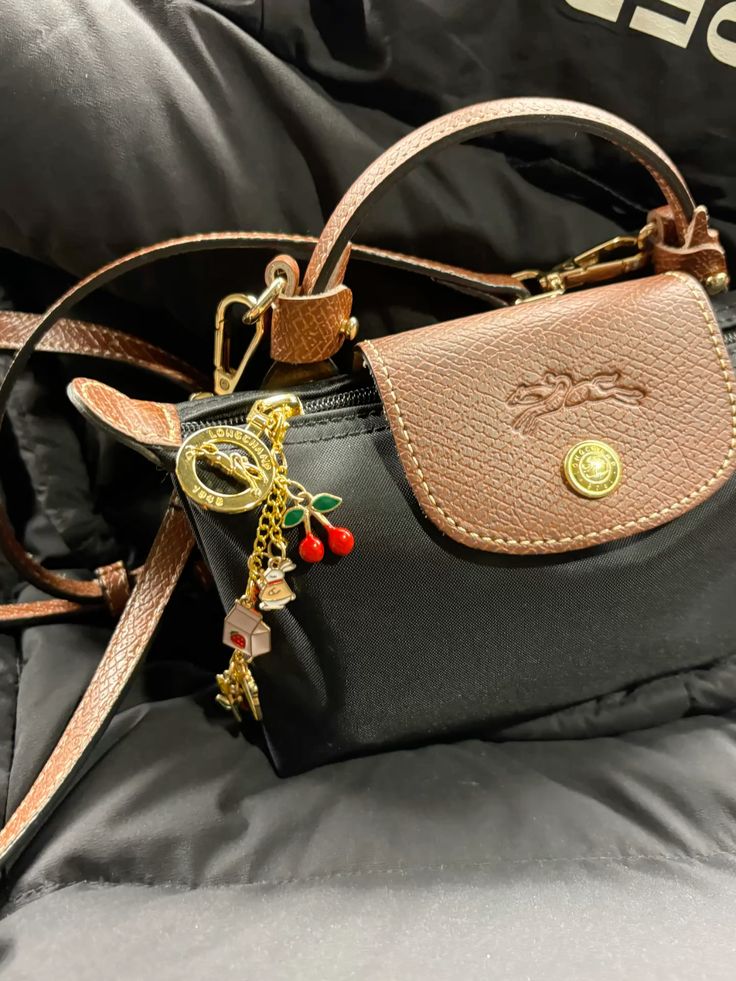Mini longchamp bag