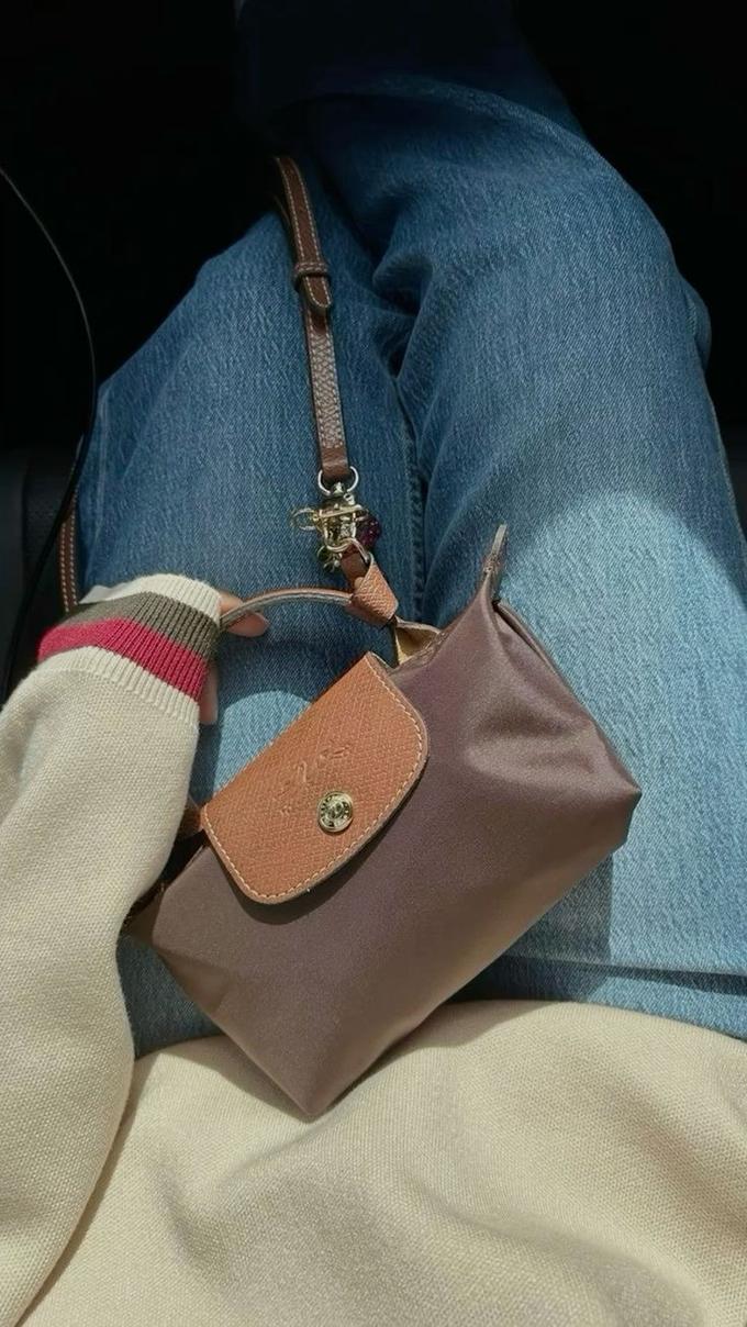 Mini longchamp bag