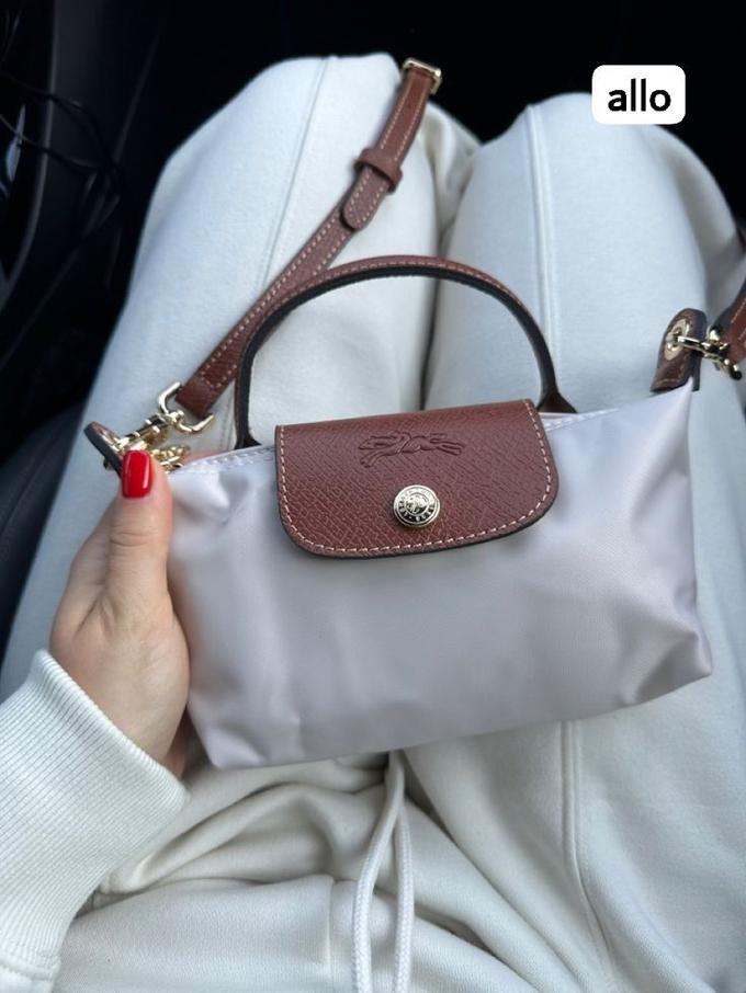 Mini longchamp bag