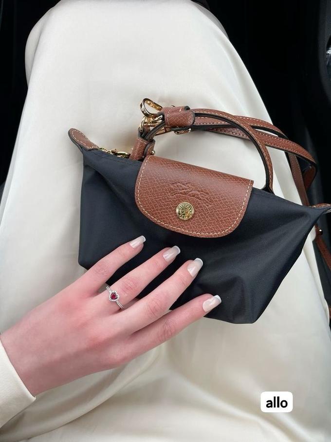 Mini longchamp bag
