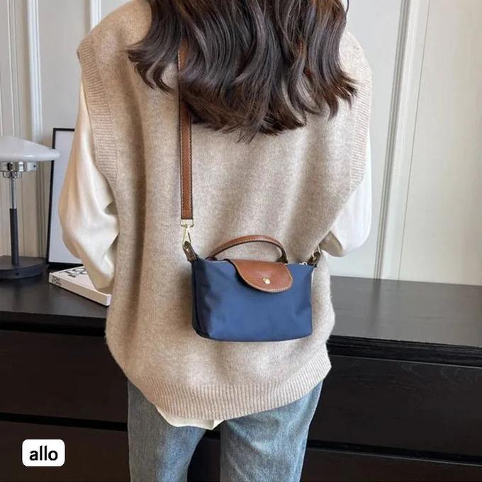 Mini longchamp bag