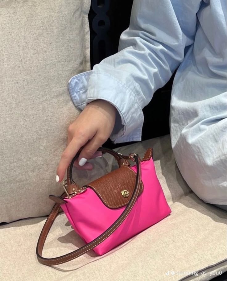 Mini longchamp bag