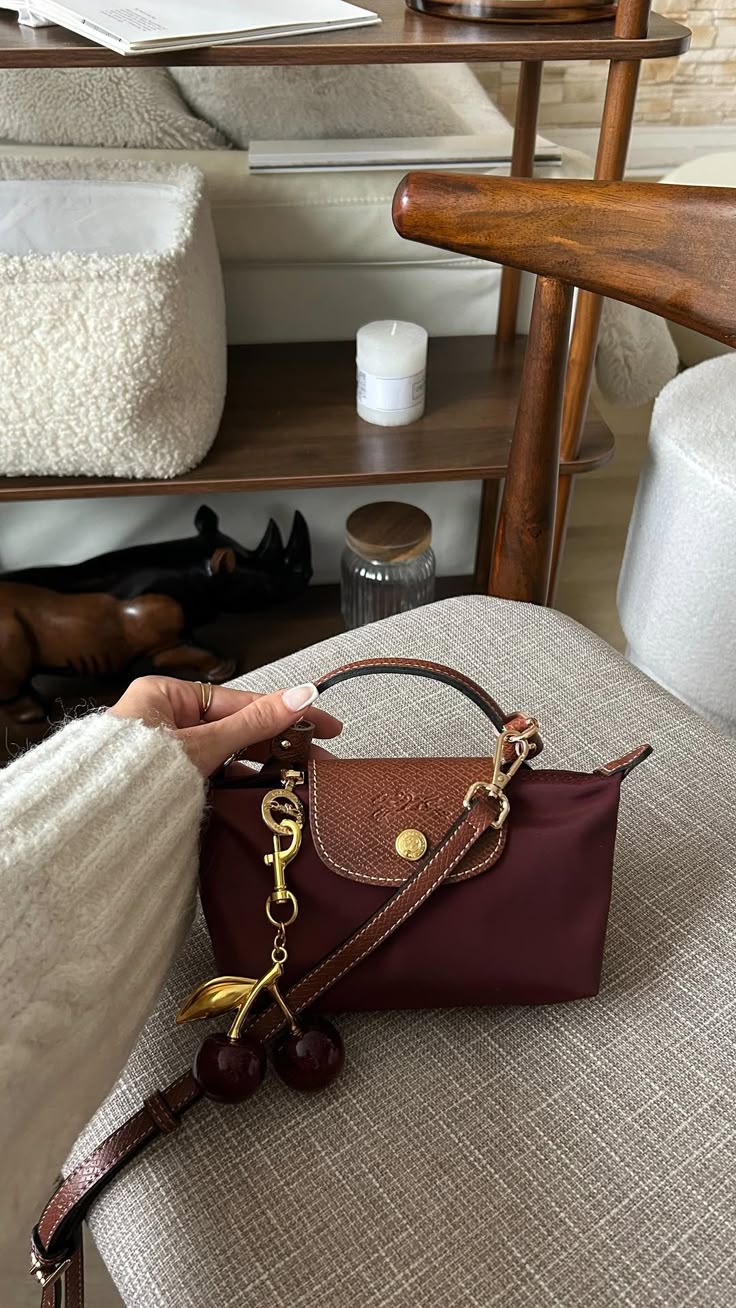 Mini longchamp bag