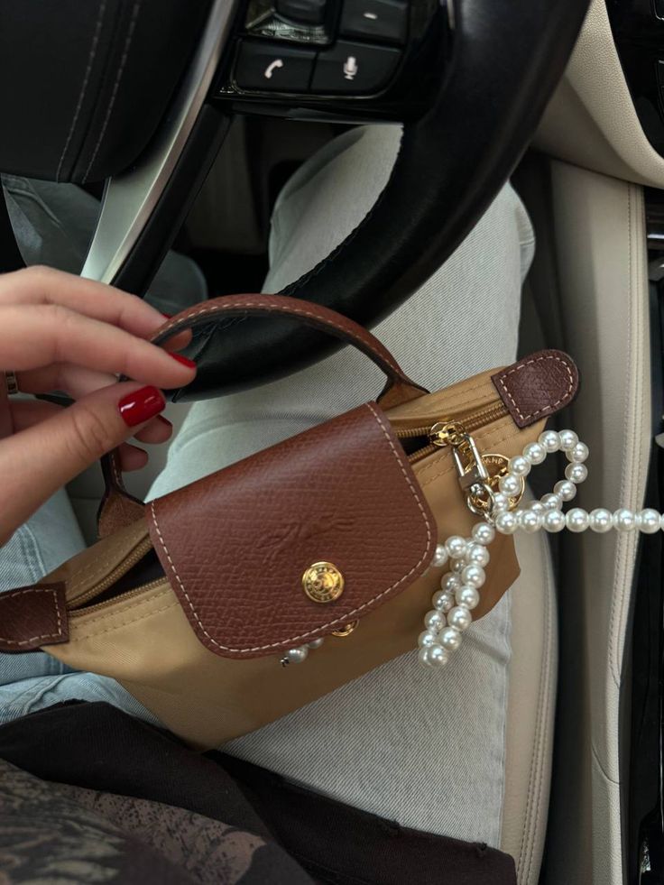 Mini longchamp bag