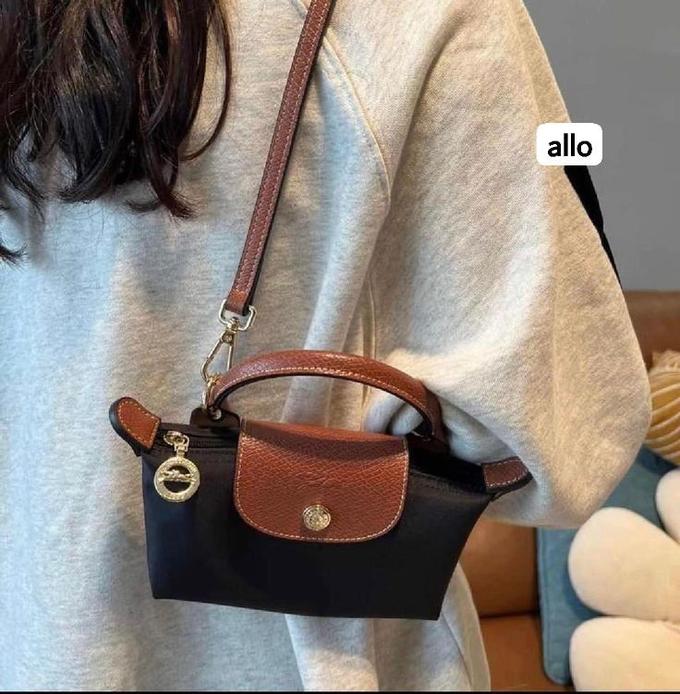 Mini longchamp bag
