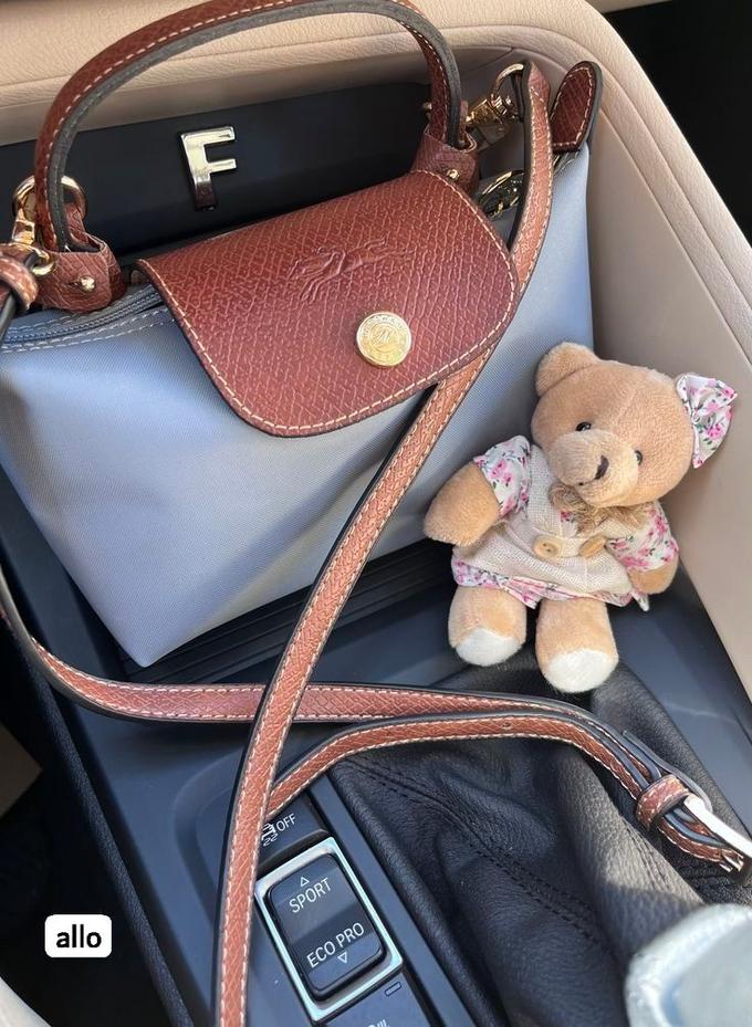 Mini longchamp bag