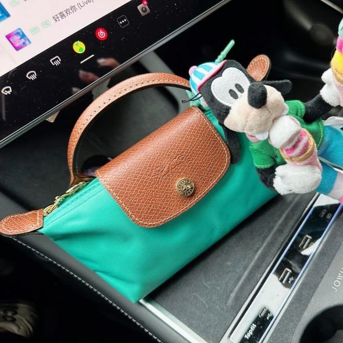 Mini longchamp bag