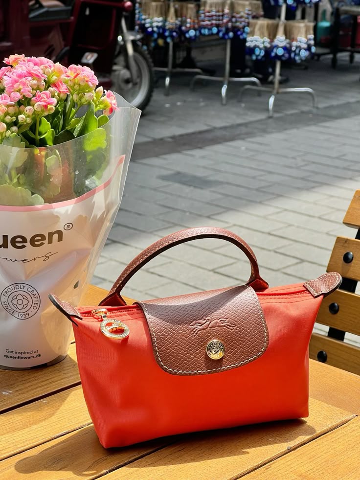 Mini longchamp bag