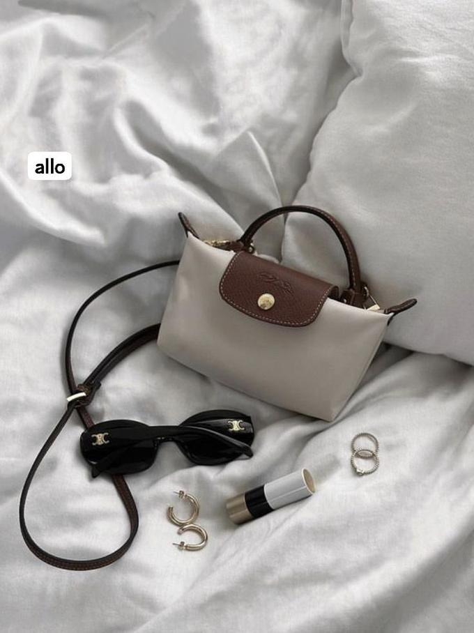 Mini longchamp bag