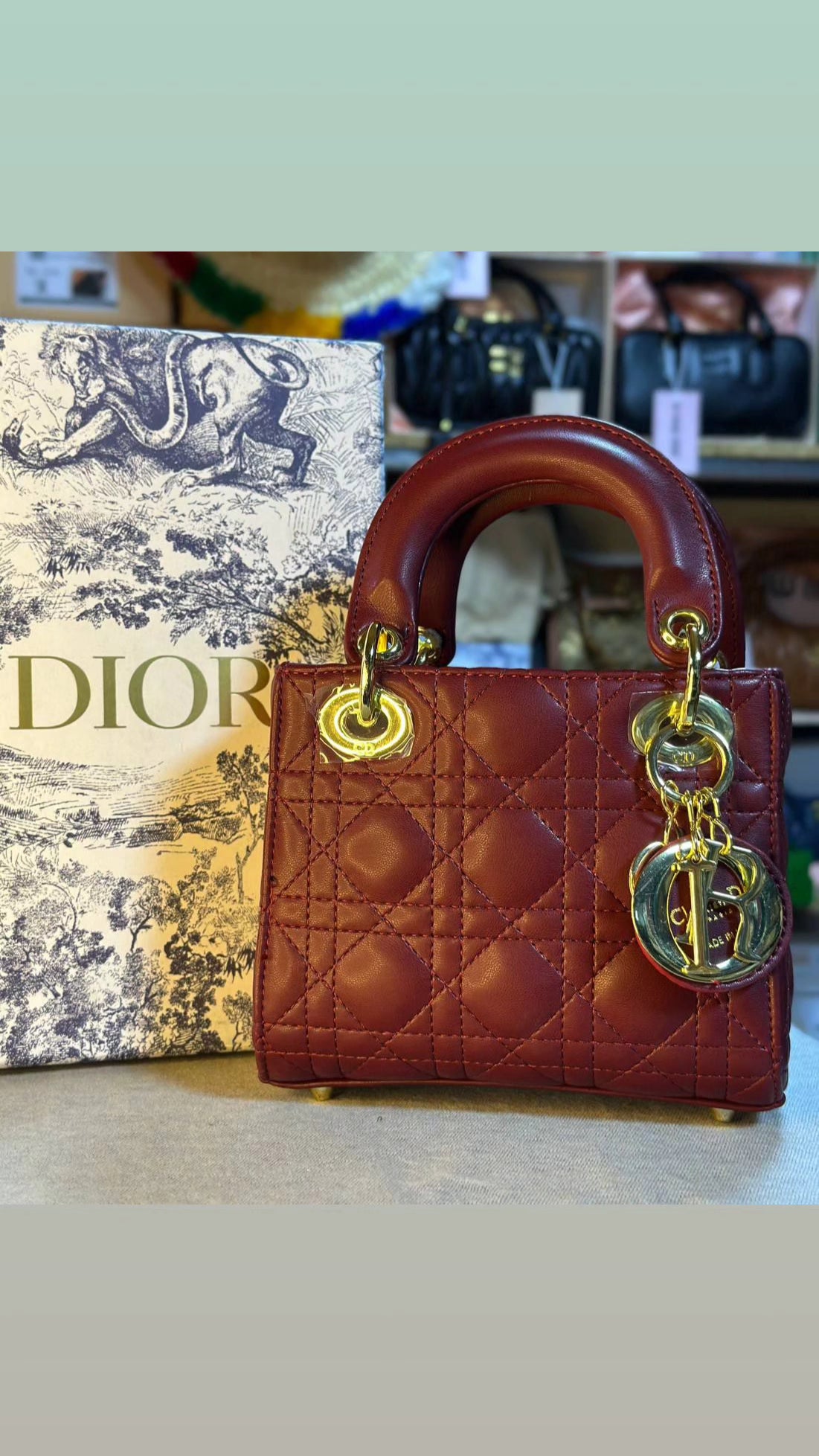 Sac Lady Dior Mini
