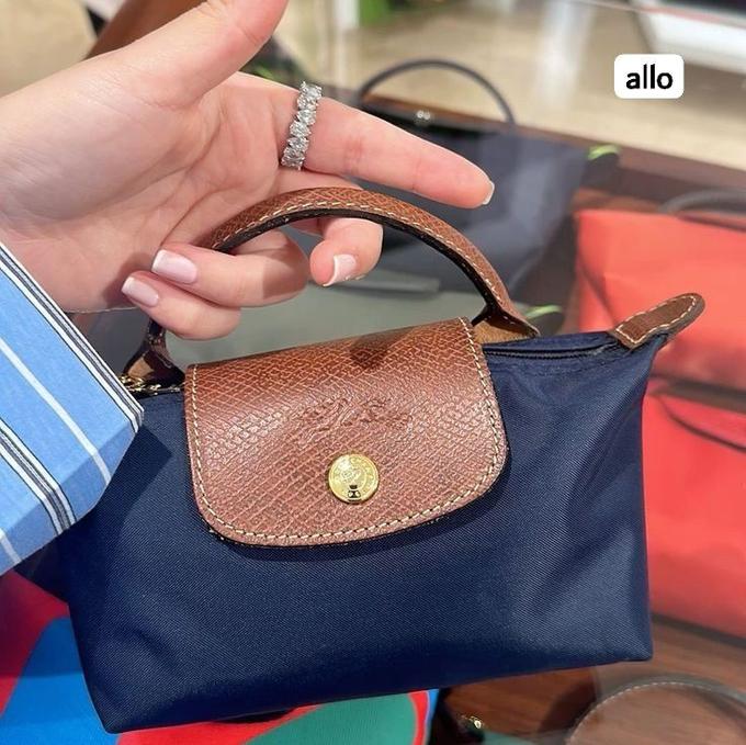 Mini longchamp bag